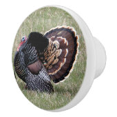 Wilde Türkei Keramikknauf (Rechts)