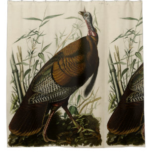 Wilde Türkei (männlich) von Audubons Vögeln Amerik Duschvorhang
