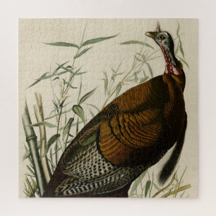 Wilde Türkei (männlich) von Audubons Vögeln Amerik Puzzle