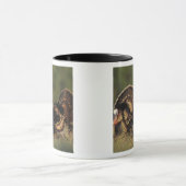 Wilde Türkei, Meleagris gallopavo, Männchen Tasse (Zentrum)