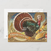 Wilde Türkei Postkarte (Vorne/Hinten)