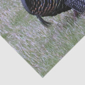 Wilde Türkei Seidenpapier (Detail)