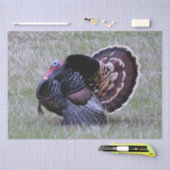 Wilde Türkei Seidenpapier (Handwerk)