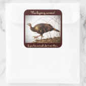 Wilde Türkei Vegetarier-Aufkleber Quadratischer Aufkleber (Tasche)