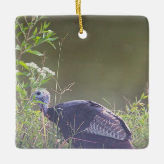 Wilde Türkei Verstecken in Grasdekoration Keramikornament (Vorderseite)