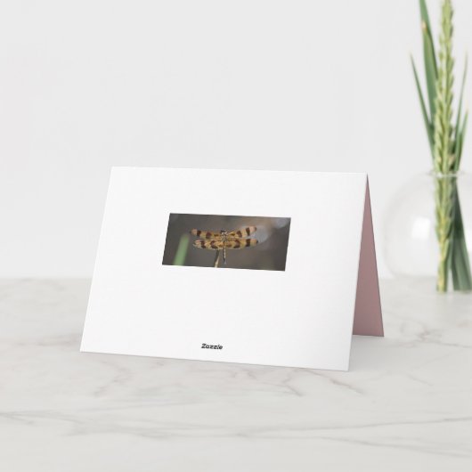 Wilde und freie Goldene Libelle (Rückseite)