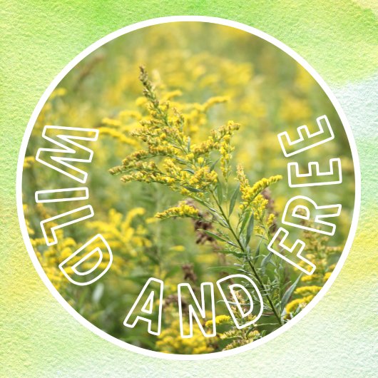 Wilde und freie Wildblumen - Selbstvertrauen Fensteraufkleber