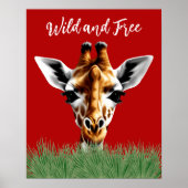 Wilde und kostenlose Giraffe Poster (Vorne)