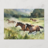Wilde und kostenlose Pferdepostkarte Postkarte (Vorderseite)