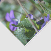 Wilde Veilchen Seidenpapier (Ausschnitt)