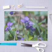 Wilde Veilchen Seidenpapier (Handwerk)