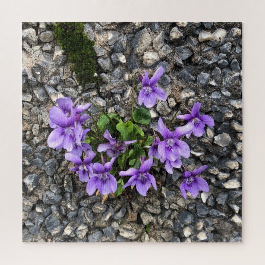 Wilde Viola-Blume, die aus einer rauen Gusswand wa Puzzle (Vertikal)