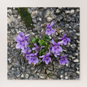 Wilde Viola-Blumen, die aus einer rauen Wand wachs Puzzle