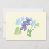 Wilde Violet-Blume - Illustration