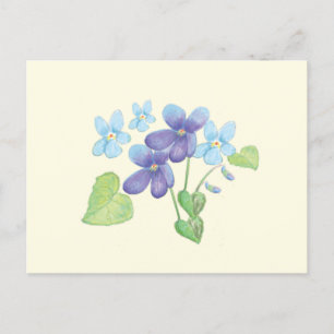 Wilde Violet-Blume - Illustration Postkarte