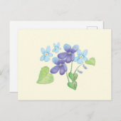 Wilde Violet-Blume - Illustration Postkarte (Vorne/Hinten)