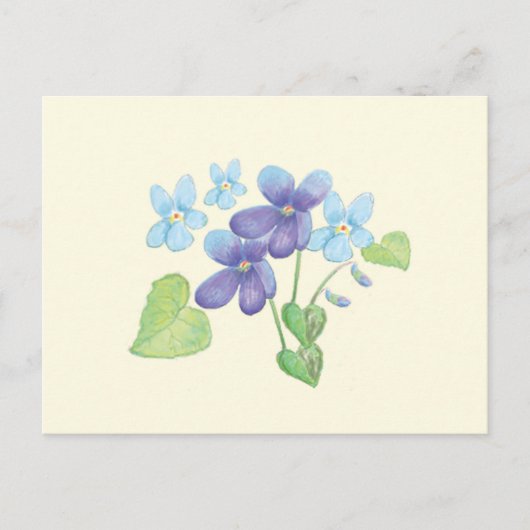 Wilde Violet-Blume - Illustration Postkarte (Vorderseite)