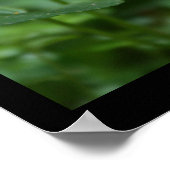 Wilde Violets Blumenfotografie Poster (Ecke)