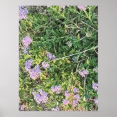 Wilde violette Blumen in natürlicher Garteneinstel Poster (Vorne)