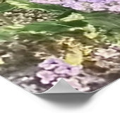 Wilde violette Blumen in natürlicher Garteneinstel Poster (Ecke)