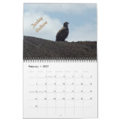 Wilde Vögel im Minnesota-Kalender 2025 Kalender (Feb 2027)