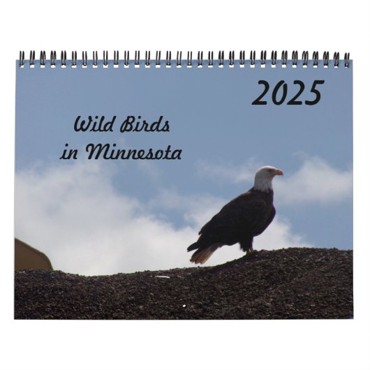 Wilde Vögel im Minnesota-Kalender 2025 Kalender (Titelbild)
