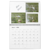 Wilde Vögel im Minnesota-Kalender 2025 Kalender (Mär 2026)