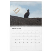 Wilde Vögel im Minnesota-Kalender 2025 Kalender (Feb 2026)