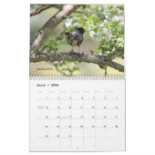 Wilde Vögel Kalender (Mär 2026)