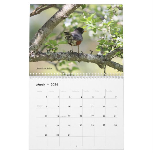Wilde Vögel Kalender (Mär 2026)