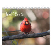 Wilde Vögel Kalender (Titelbild)