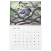 Wilde Vögel Kalender (Jan 2026)