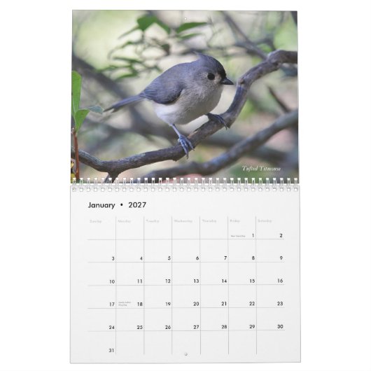 Wilde Vögel Kalender (Jan 2027)