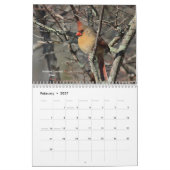 Wilde Vögel Kalender (Feb 2027)