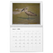 Wilde Vögel von Tansania Kalender (Mär 2026)