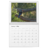 Wilde Vögel von Tansania Kalender (Jan 2026)