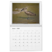 Wilde Vögel von Tansania Kalender (Mär 2027)