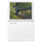 Wilde Vögel von Tansania Kalender (Jan 2027)