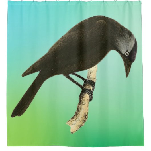 Wilde Vogelkunst - Der Raven Duschvorhang (Vorderseite)