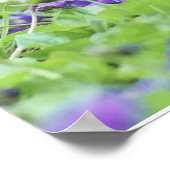 Wilde Wachteln Poster (Ecke)