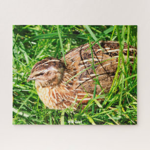 Wilde Wachteln Puzzle