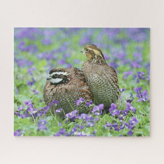 Wilde Wachteln Puzzle (Horizontal)
