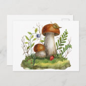 Wilde Wald-Pilze und Beeren Postkarte (Vorne/Hinten)