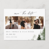 Wilde Waldkiefern 3 Foto Hochzeit Sichern Sie das Postkarte (Vorderseite)