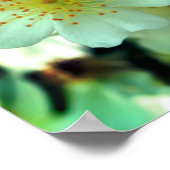 Wilde, weiße, Naher Rose Poster (Ecke)