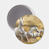Wilde Weiße Pferde Magnet (Vorderseite/Rückseite)