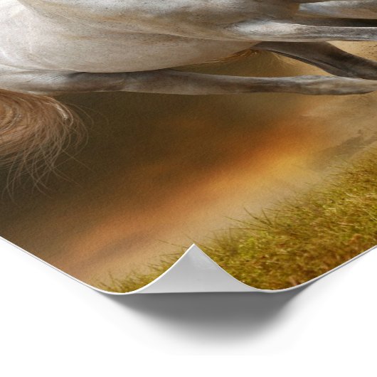 Wilde Weiße Pferde Poster (Ecke)