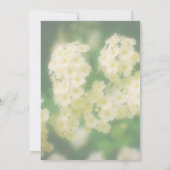 Wilde weiße Rambling Rose Blumenstrauß Party Einladung (Rückseite)