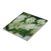 Wilde weiße Rose Blume Natur Fliese (Seite)