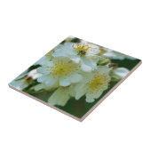 Wilde weiße Rose Blume Natur Fliese (Seite)